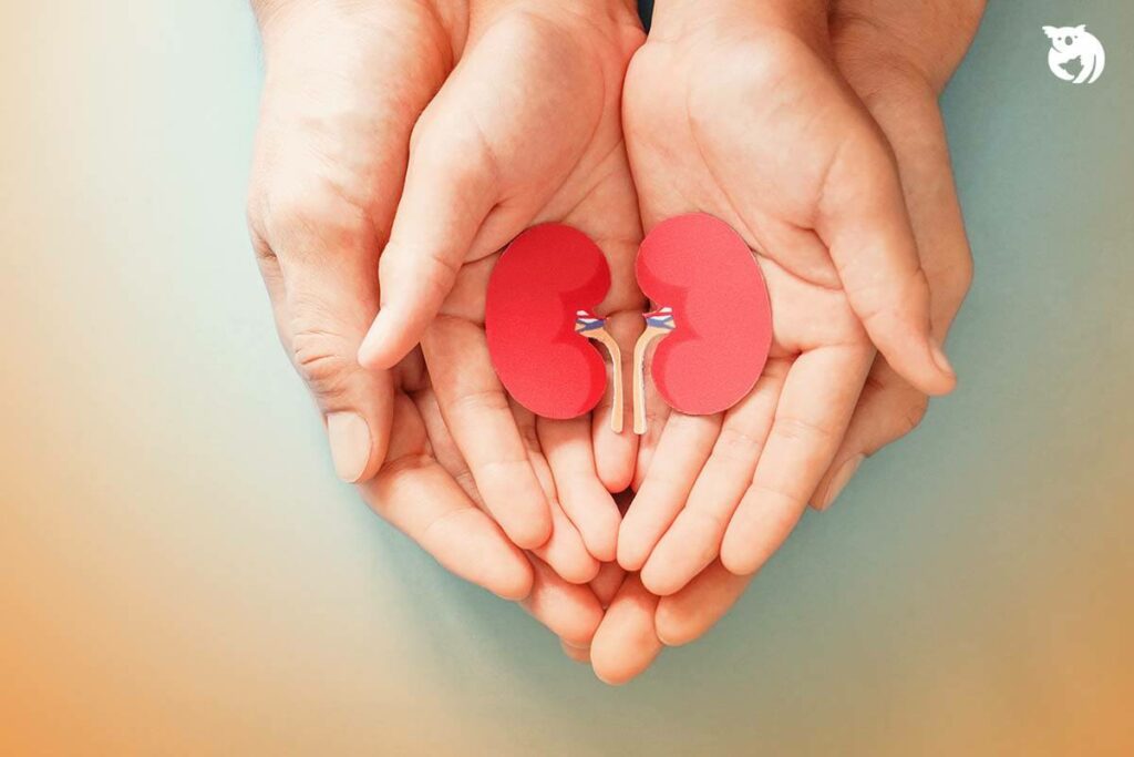 5 CARA MENJAGA KESEHATAN GINJAL